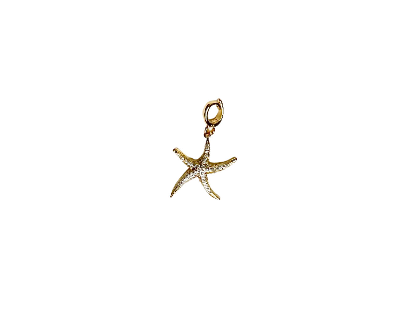 Starfish Charm